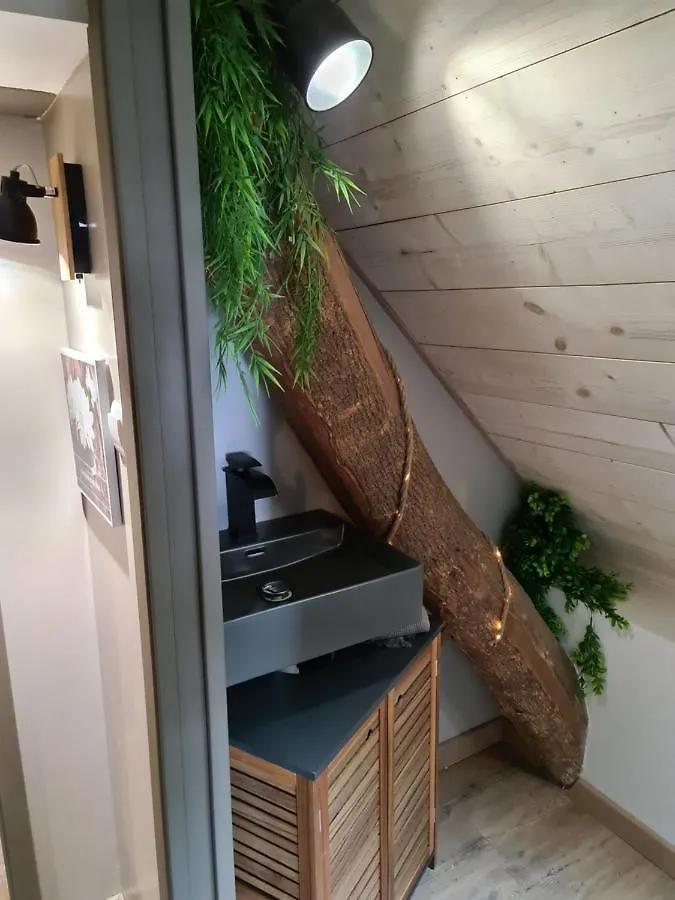 Apartamento Gite Le Gabizos Avec Bain Nordique Et Sauna En Pleine Montagne Arrens-Marsous 0*,