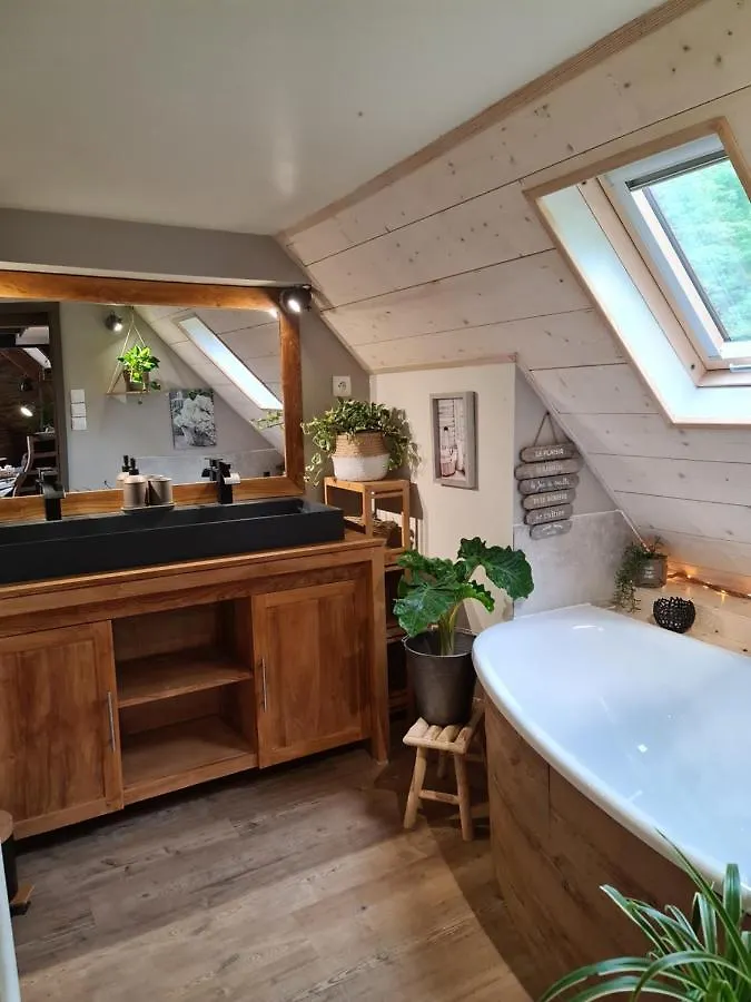 Apartamento Gite Le Gabizos Avec Bain Nordique Et Sauna En Pleine Montagne Arrens-Marsous 0*,  Francia